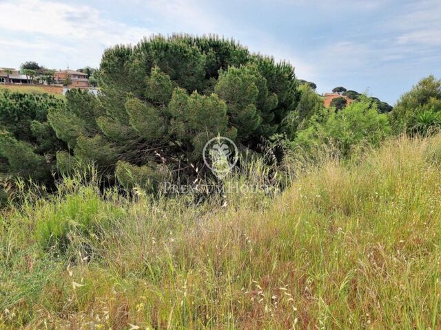 Fantastic plot for sale in Calella