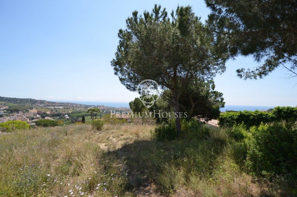 Gran terreny en venda amb vistes al mar i a les vinyes d'Alella