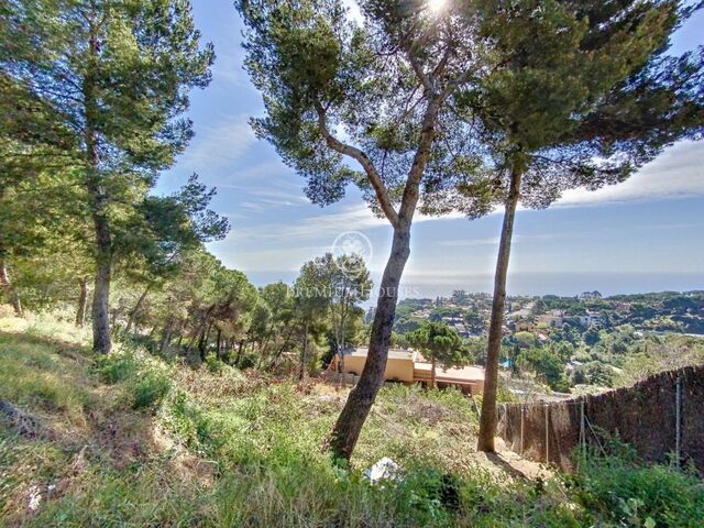 PLOT FOR SALE IN CALA SANT FRANCESC