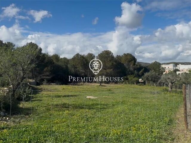 Plot with Views in Puigmoltó
