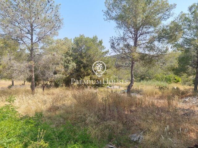 Rustic Land in Vallpineda