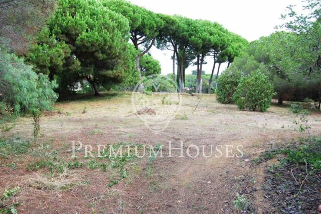 Terrain. Sant Andreu de Llavaneres Costa BCN