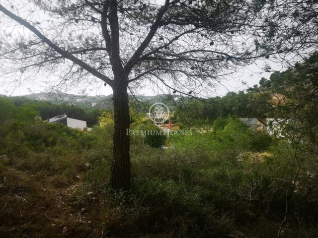 Terreny a la venda en Mas Alba amb vistes buidades