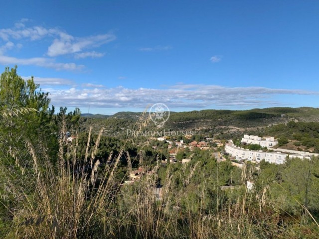 Terreny amb vistes a la part alta de Mas Alba Sant Pere de Ribes